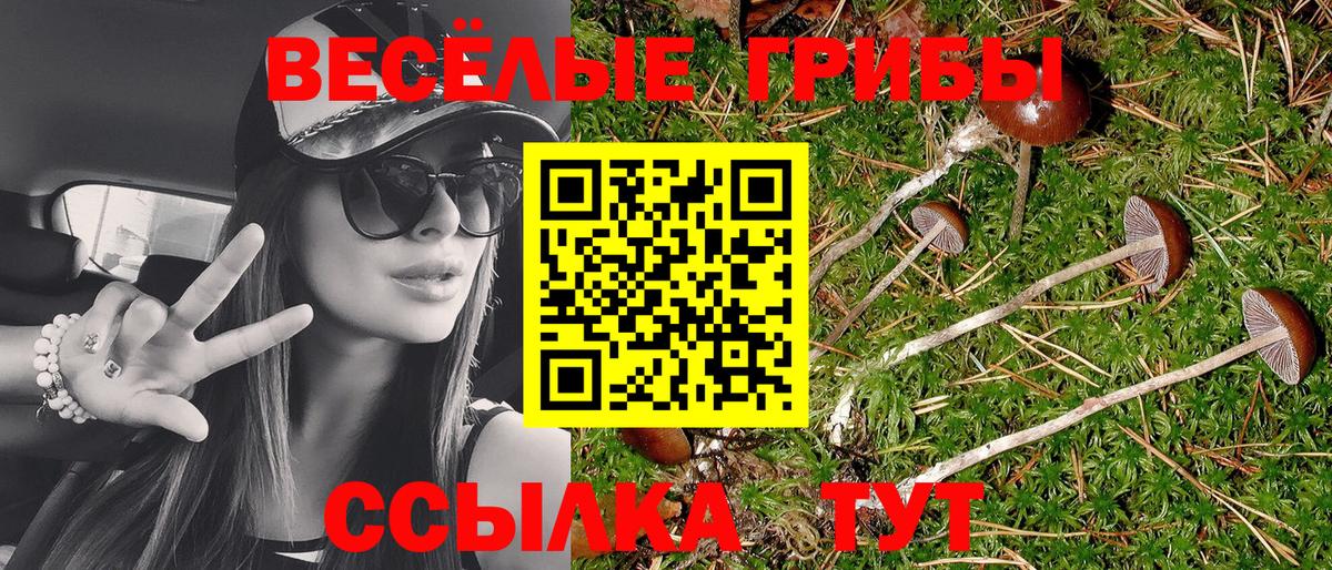 Галлюциногенные грибы Cubensis  Галлюциногенные грибы ЛСД  Янаул  Вход с VPN 